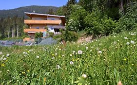 Holiday Home Zillertal - Haus Gigl